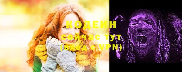 хмурый Надым