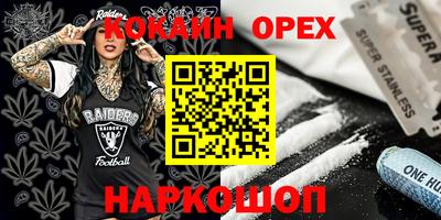 индика Гатчина
