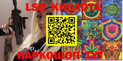 индика Гатчина