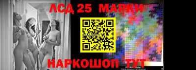 индика Гатчина