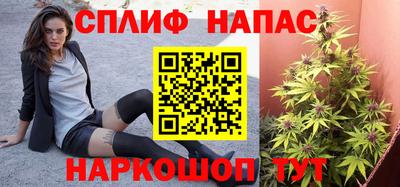 прущие грибы Гай