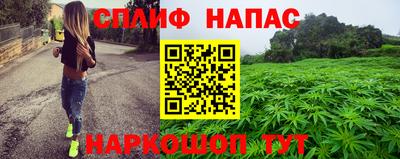 прущие грибы Гай