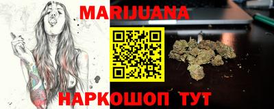 индика Гатчина