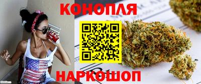 индика Гатчина