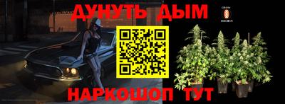 индика Гатчина