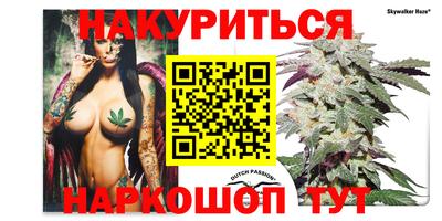 индика Гатчина