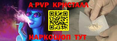 индика Гатчина