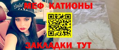 индика Гатчина