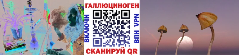 где найти наркотики  Зеленогорск  Галлюциногенные грибы MAGIC MUSHROOMS 