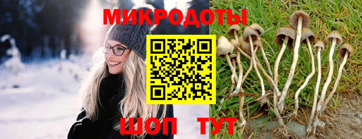 Галлюциногенные грибы мицелий  Вход с VPN  Зеленогорск 