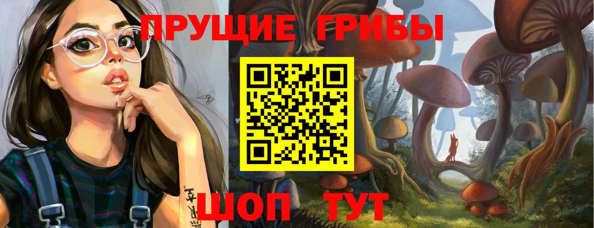 Галлюциногенные грибы Cubensis Зеленогорск