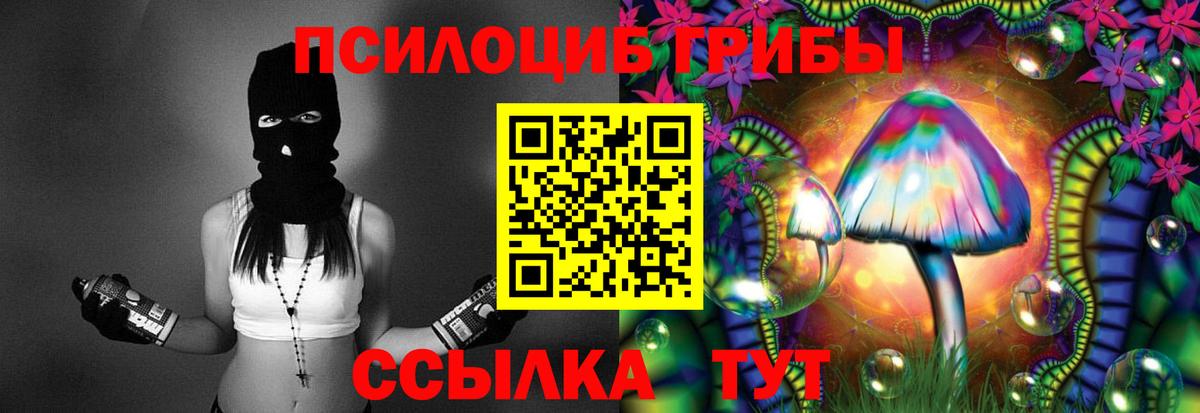 купить наркотики цена  Псилоцибиновые грибы Magic Shrooms  Зеленогорск  Галлюциногенные грибы Cubensis 