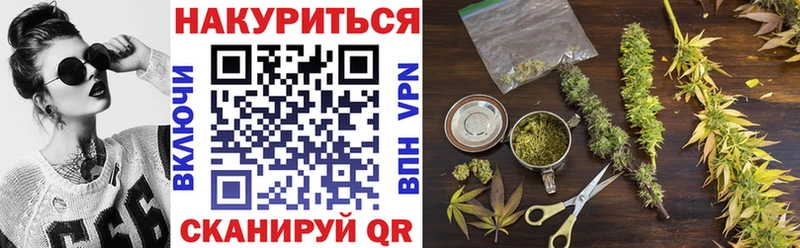 купить закладку  Зеленогорск  Бошки Шишки гибрид 