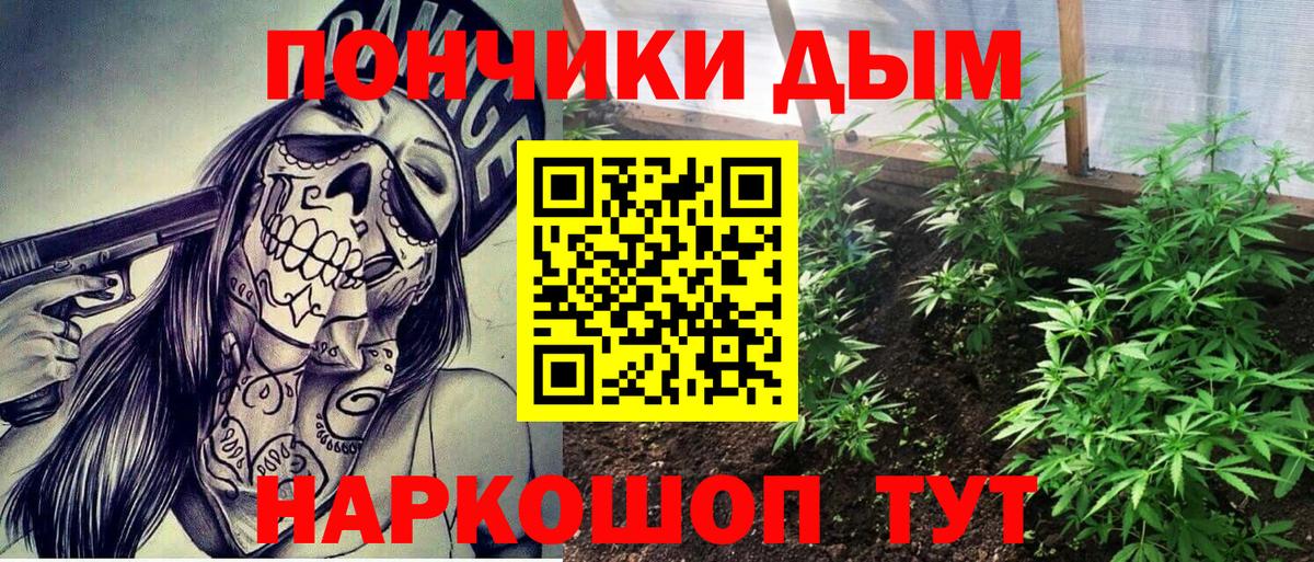 МАРИХУАНА план  Бошки Шишки гибрид  Зеленогорск 